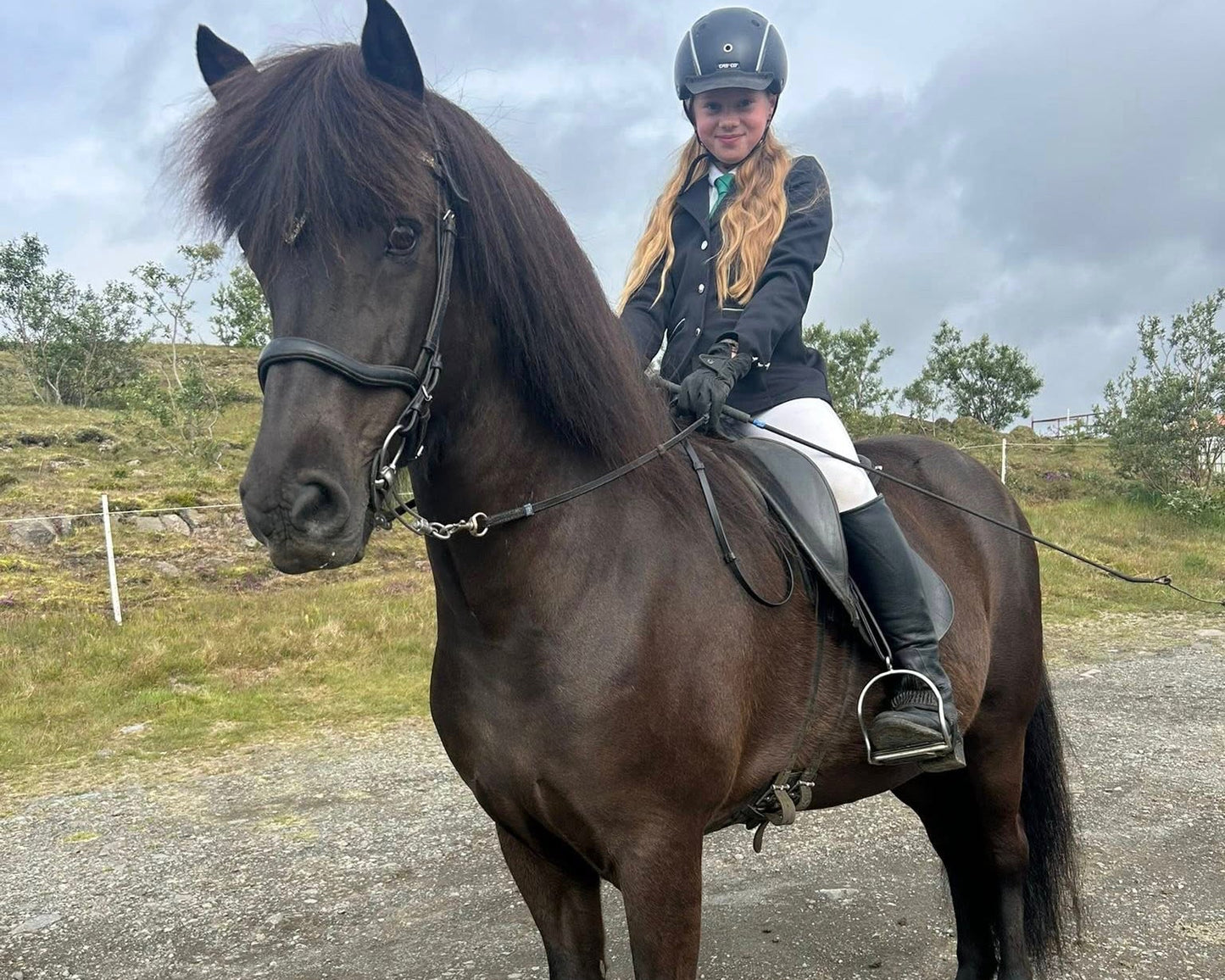 Our Horses