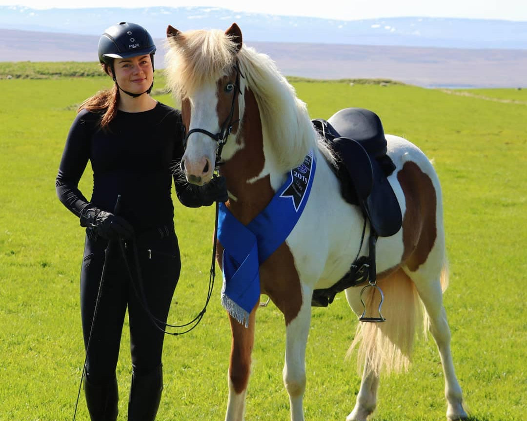 Our Horses
