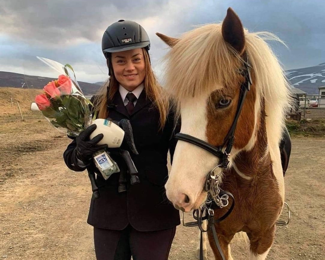 Our Horses