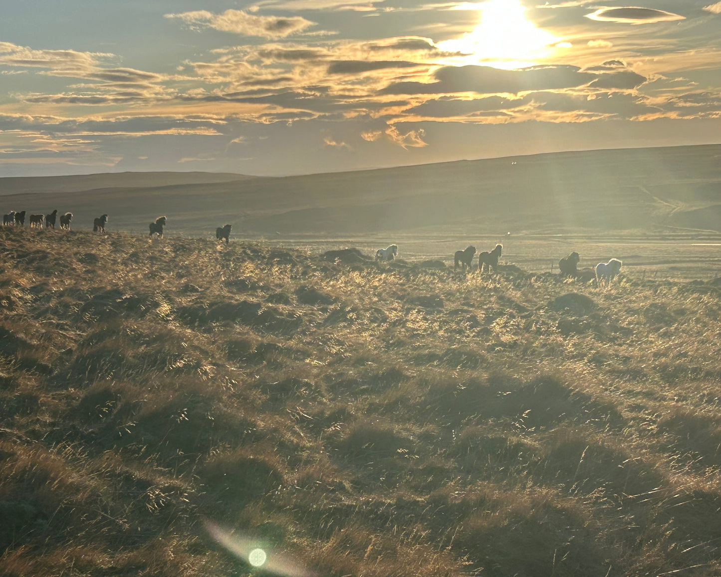 Valey Countryside Escape - Blöndalshús 