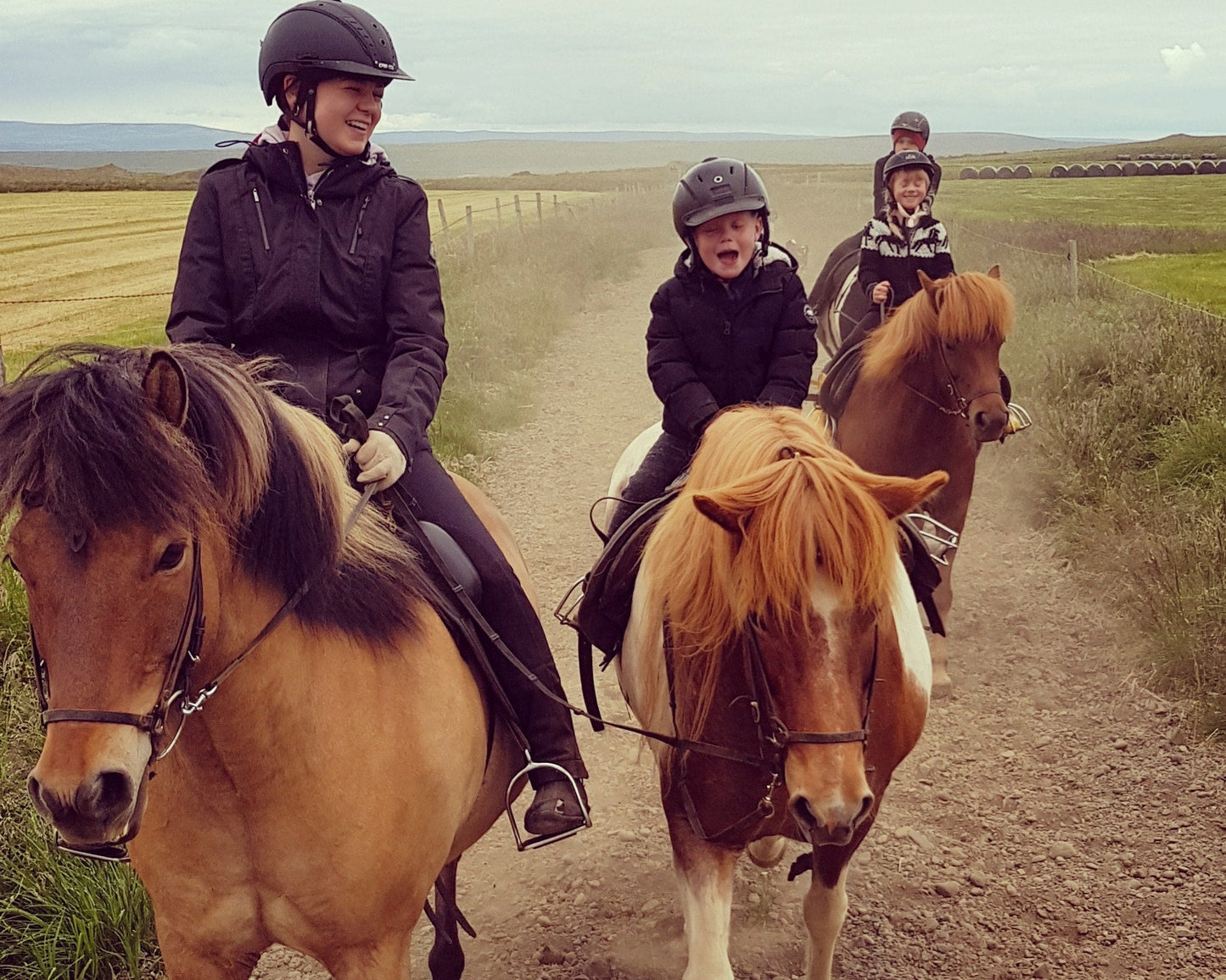 Our Horses
