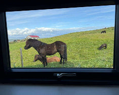 Valey Countryside Escape - Blöndalshús 